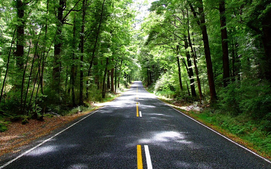 Opening the Future With Distance Teaching