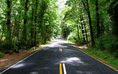 Opening the Future With Distance Teaching