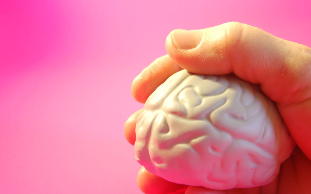 A Great Teacher Shapes the Minds of Today’s Youth to Build a Better Tomorrow