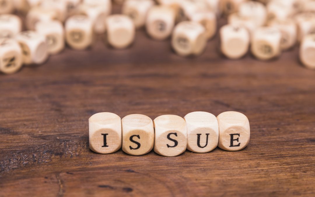 Are The Elected Officials Aware Of The Wide Range Of Important Education Issues?