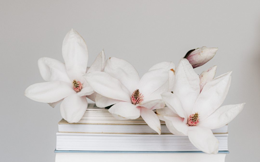 Influencing The Quality Of Education